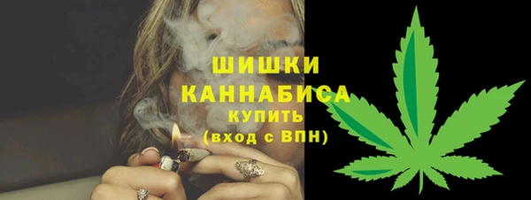 молекула духа Медногорск