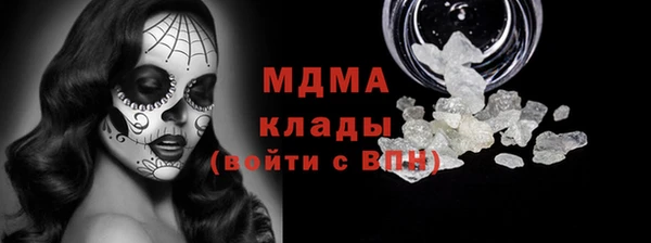 шишки Магас