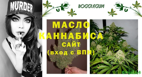 молекула духа Медногорск
