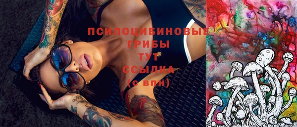 альфа пвп Медвежьегорск