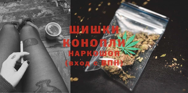альфа пвп Медвежьегорск