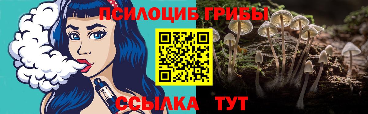 Псилоцибиновые грибы Psilocybe  Алапаевск  Галлюциногенные грибы Magic Shrooms 