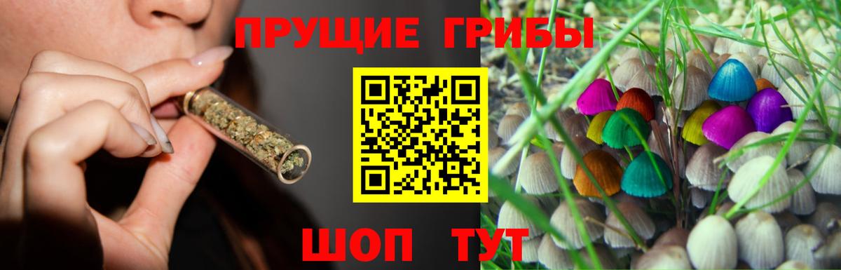 наркотики  Псилоцибиновые грибы MAGIC MUSHROOMS  Алапаевск  Вход с VPN  Псилоцибиновые грибы мухоморы 